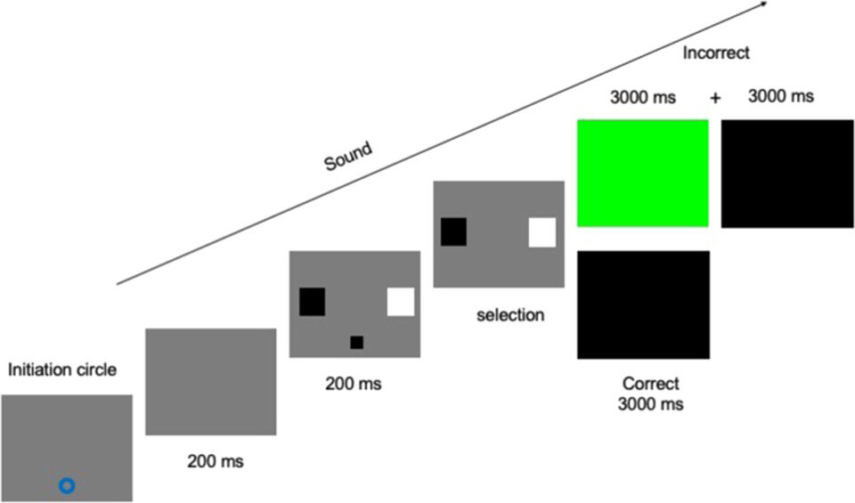   Konstantina Margiotoudi et al. / American Journal of Primatology, 2024