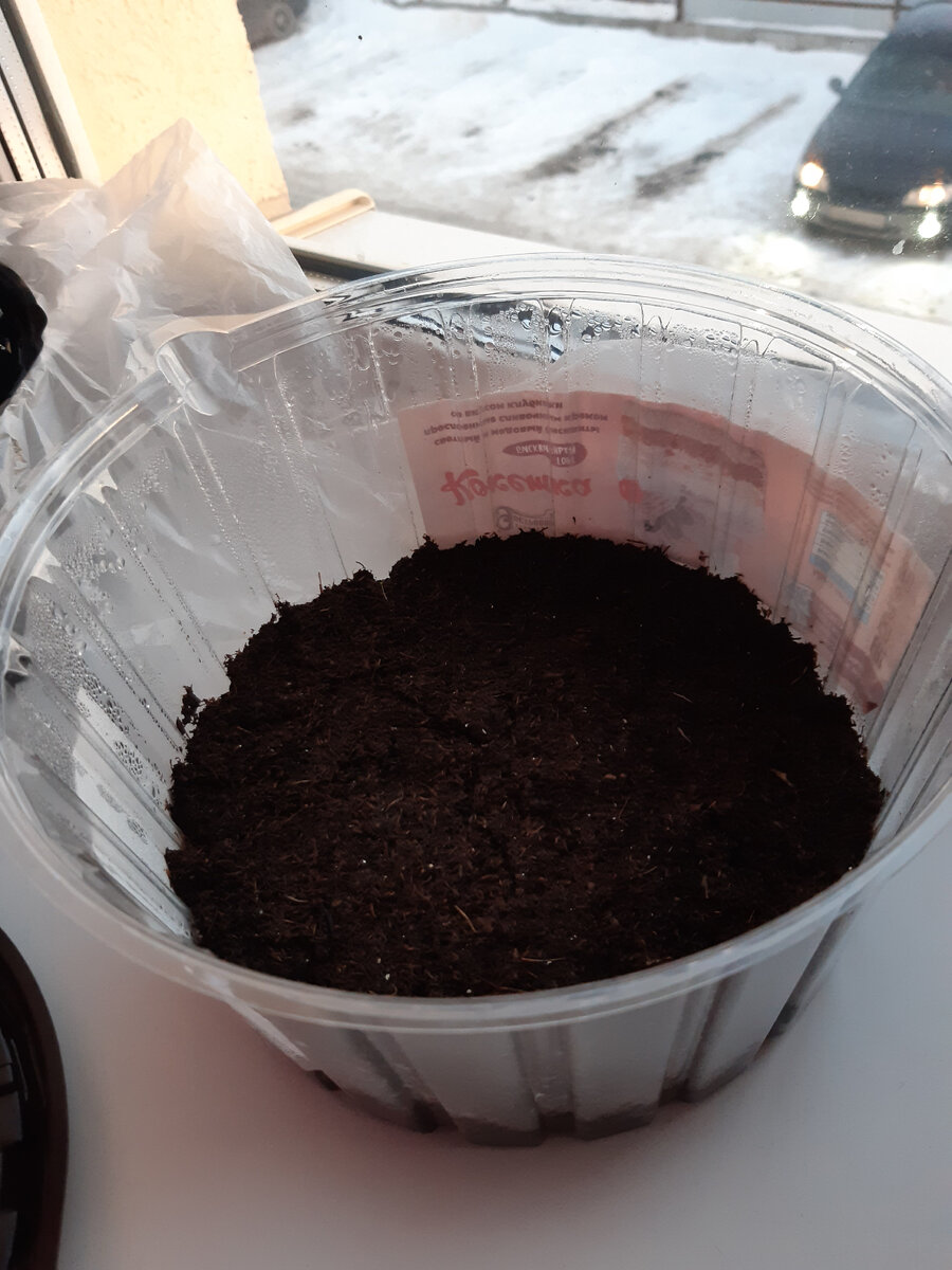 Емкость готова. Отлично пропускает свет, но удерживает влагу и тепло для семян.