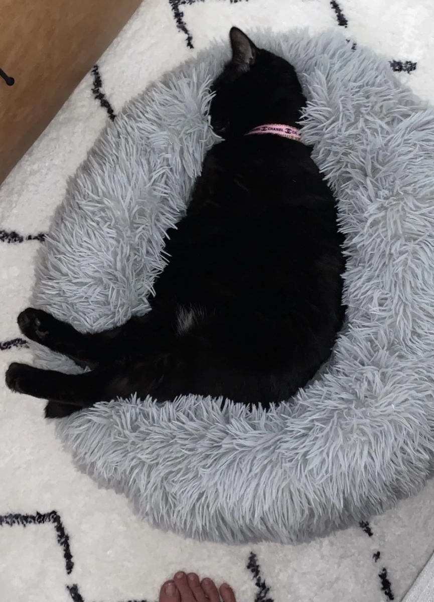    Обиделся и спит.