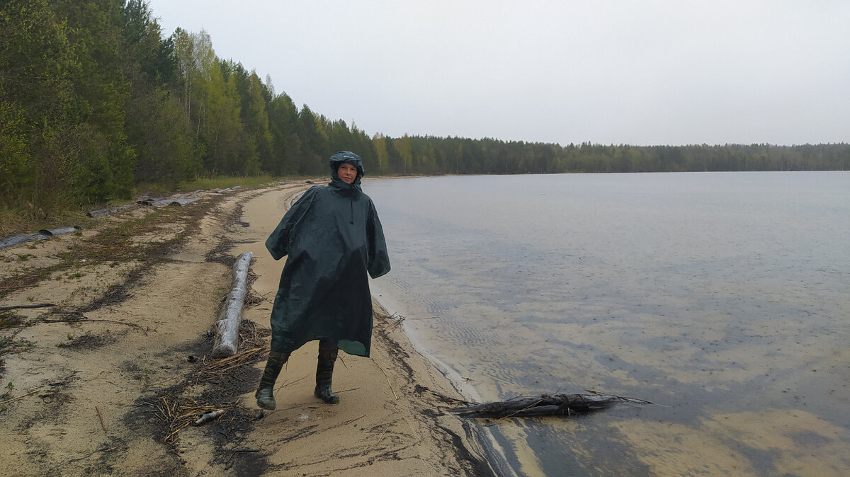 По пути к батарее. 