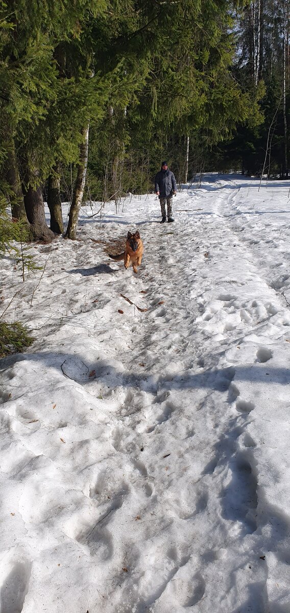 сорок сорок съели сырок. девочка на улице. прогулка в парке девушка. школьники на улице. саратов ростовская 16 а летняя прогулка.