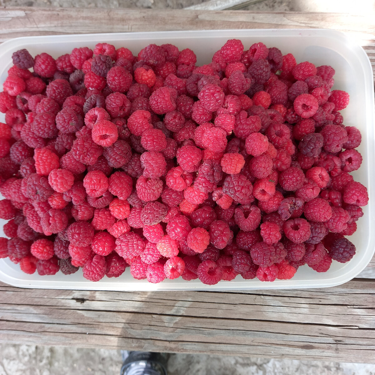 урожай прощлого года