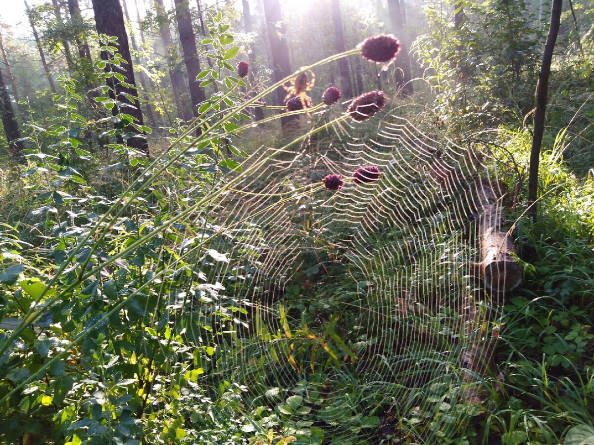 ­Фото автора. 