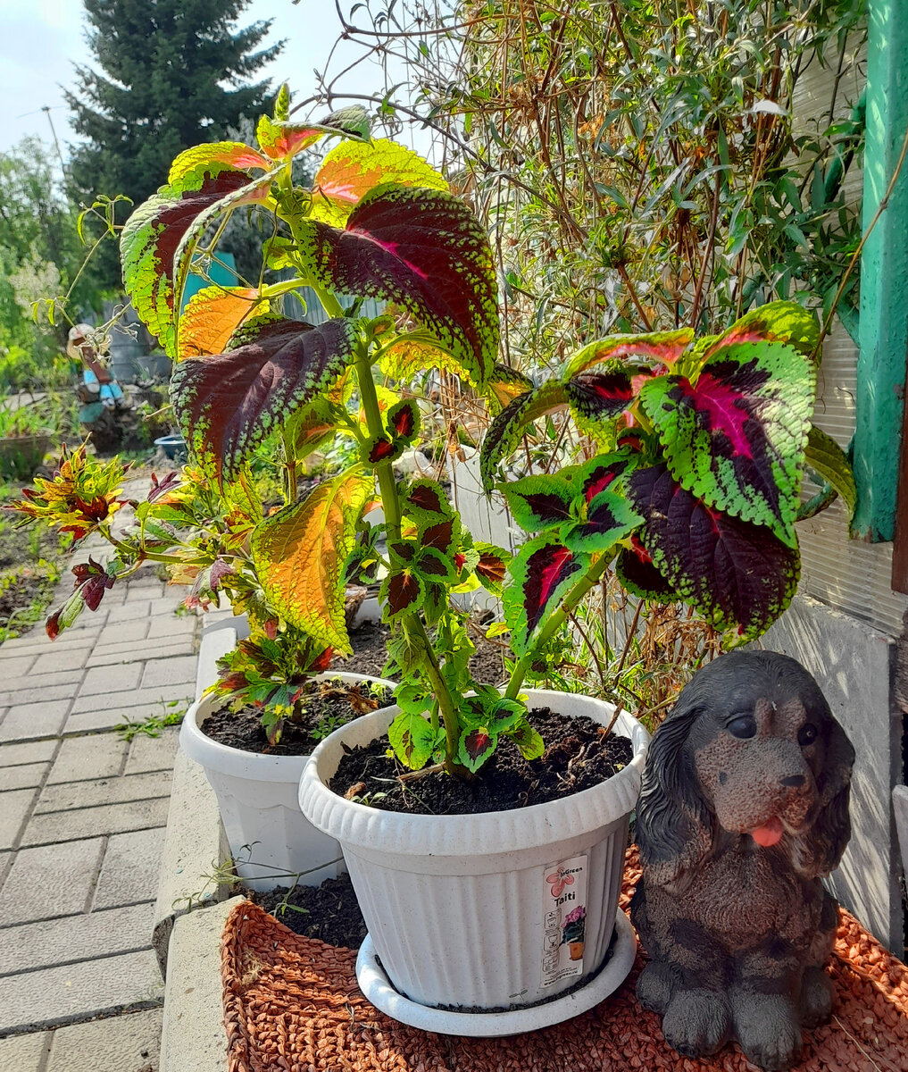 Фото автора канала