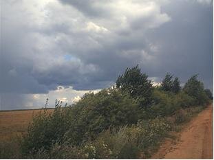 Перед грозой. Фото автора.