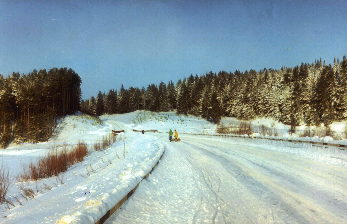 Зимний день. Фото Анатолия Карпушкина