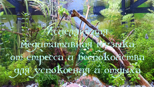 Исцеляющая медитативная музыка от стресса и беспокойства для успокоения и отдыха