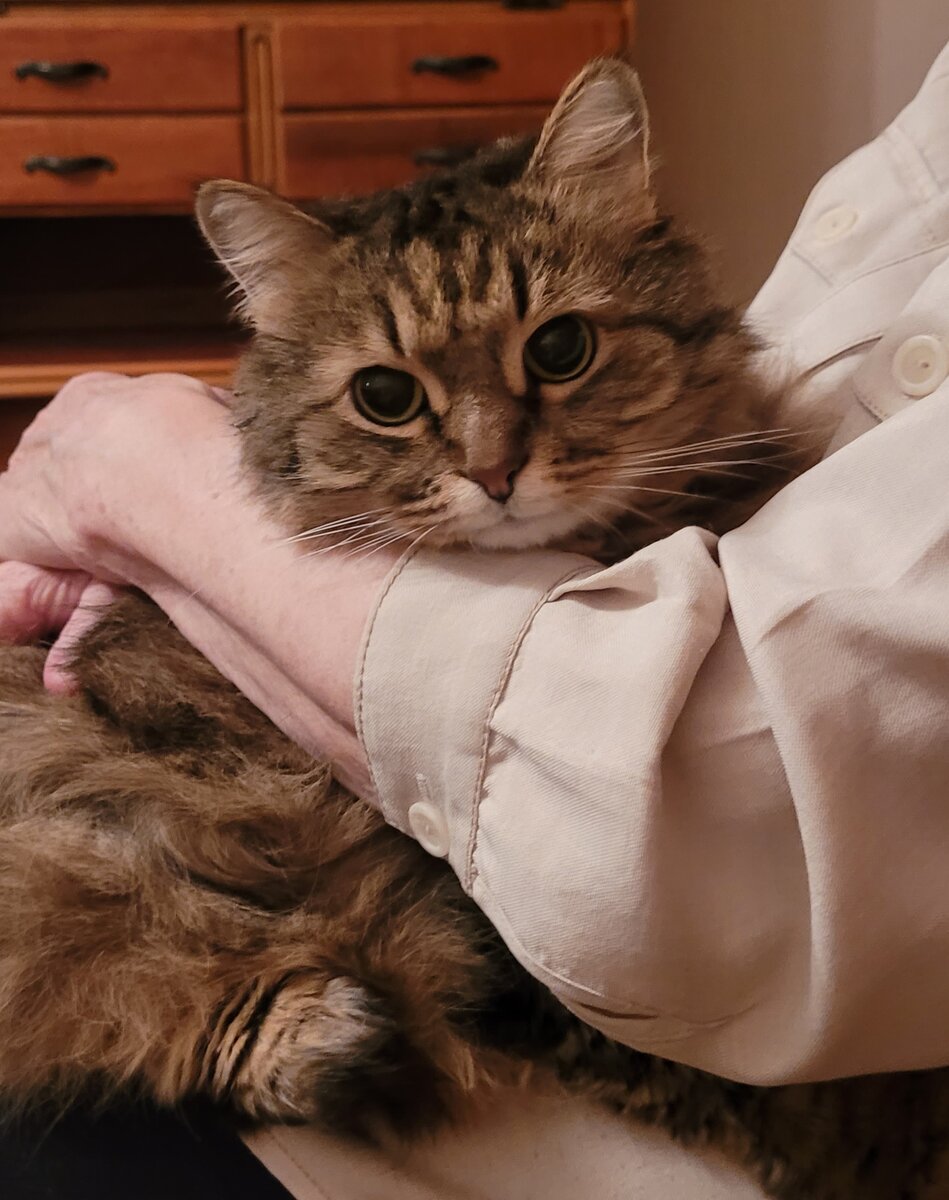 Да! Она не позволит меня обидеть! 