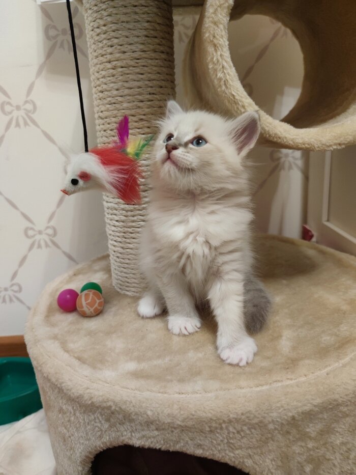 Листайте вправо, чтобы увидеть больше изображений