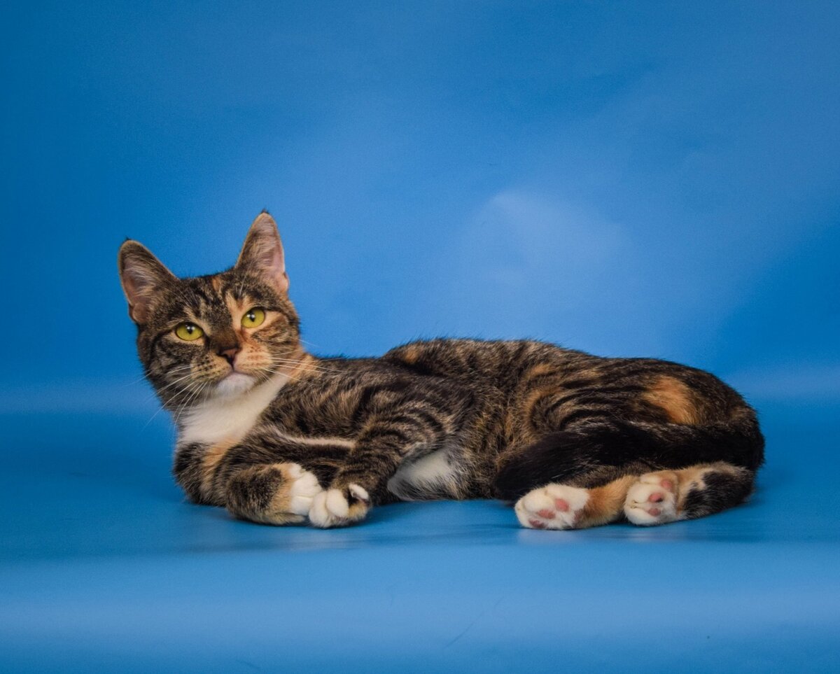 Фото- собственность канала