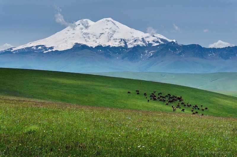 Эльбрус  двухглавый, высота западной вершины Эльбруса 5642 м, восточной — 5621  м. Площадь ледников, покрывающих эту гору, 145 км2. Ледники начинаются с  высоты 3400 м. Во льдах этих исполинов начинаются главные реки  Северо-Западного Кавказа.