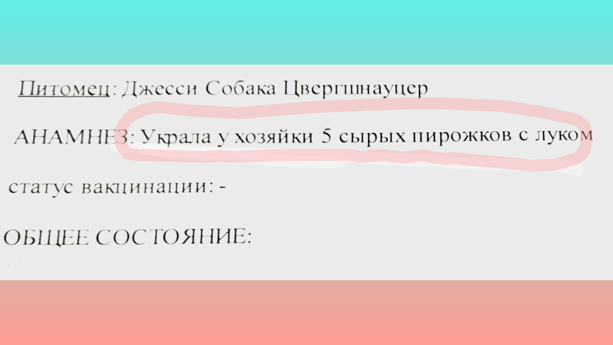 Срочно везите собаку в клинику, счёт идёт на минуты