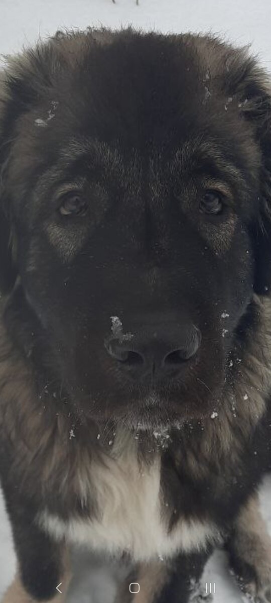 Мой малыш всегда в моем сердце