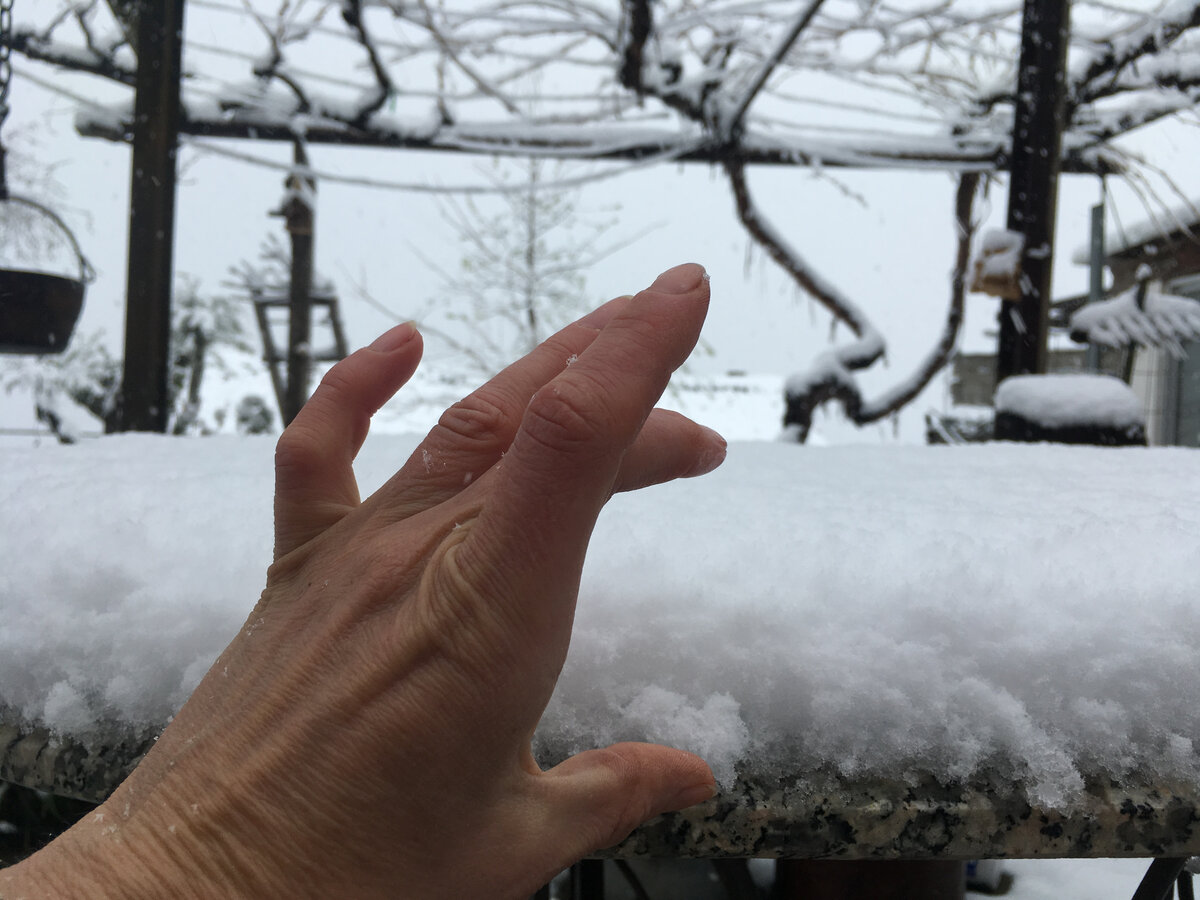 А вчера светило солнце и ничего не предвещало