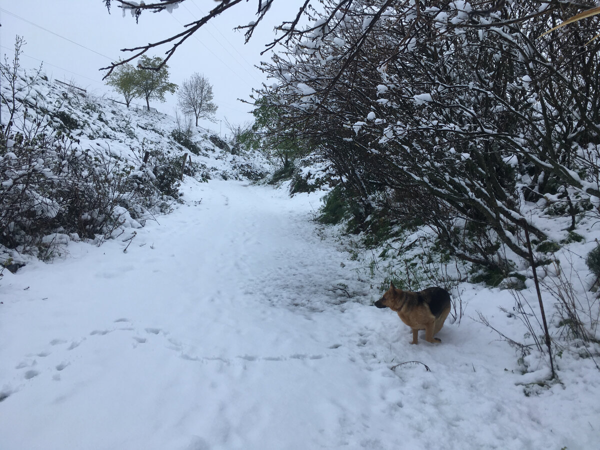 А снег все валил и валил