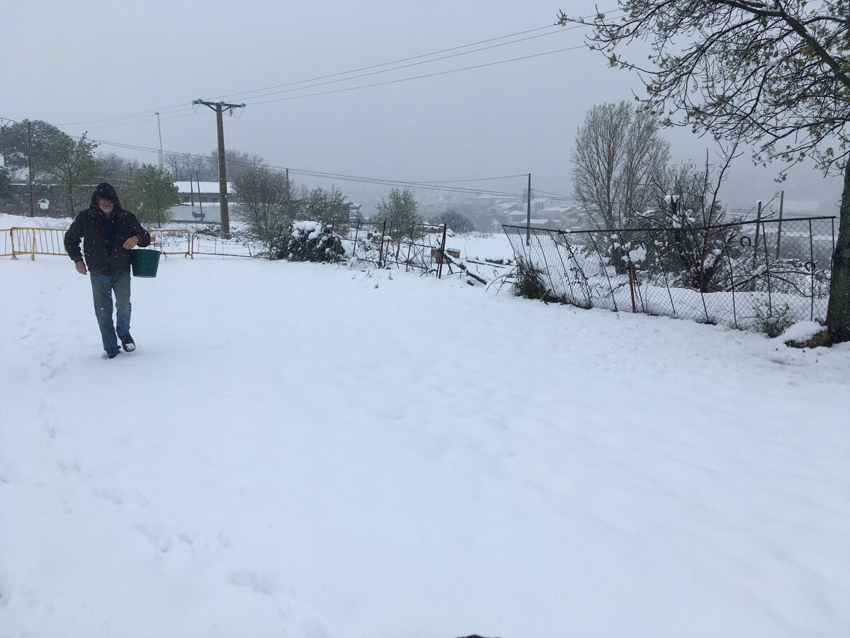 Идем кормить лошадей