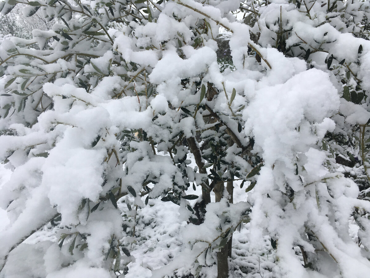 Зато красиво