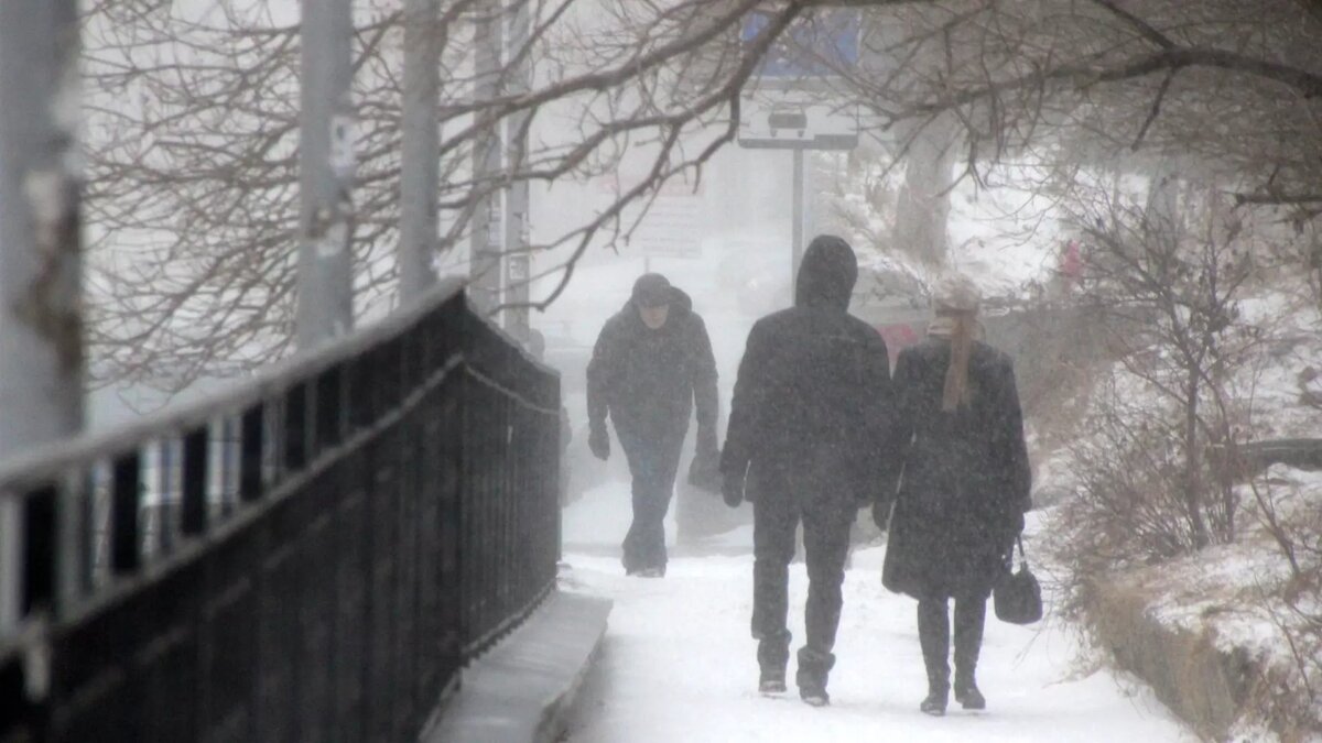     В ХМАО ожидается мокрый снег, в отдельных районах метель. Порывы ветра будут достигать 12 м/с.