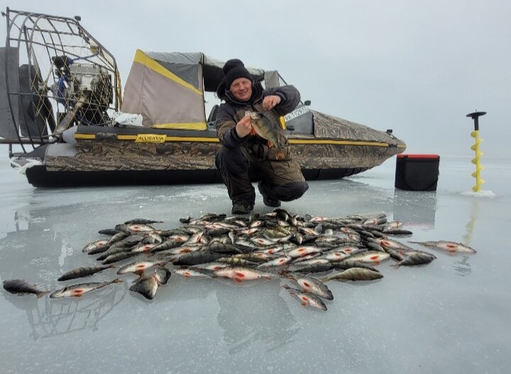 Ладога🎣Окунь🐟