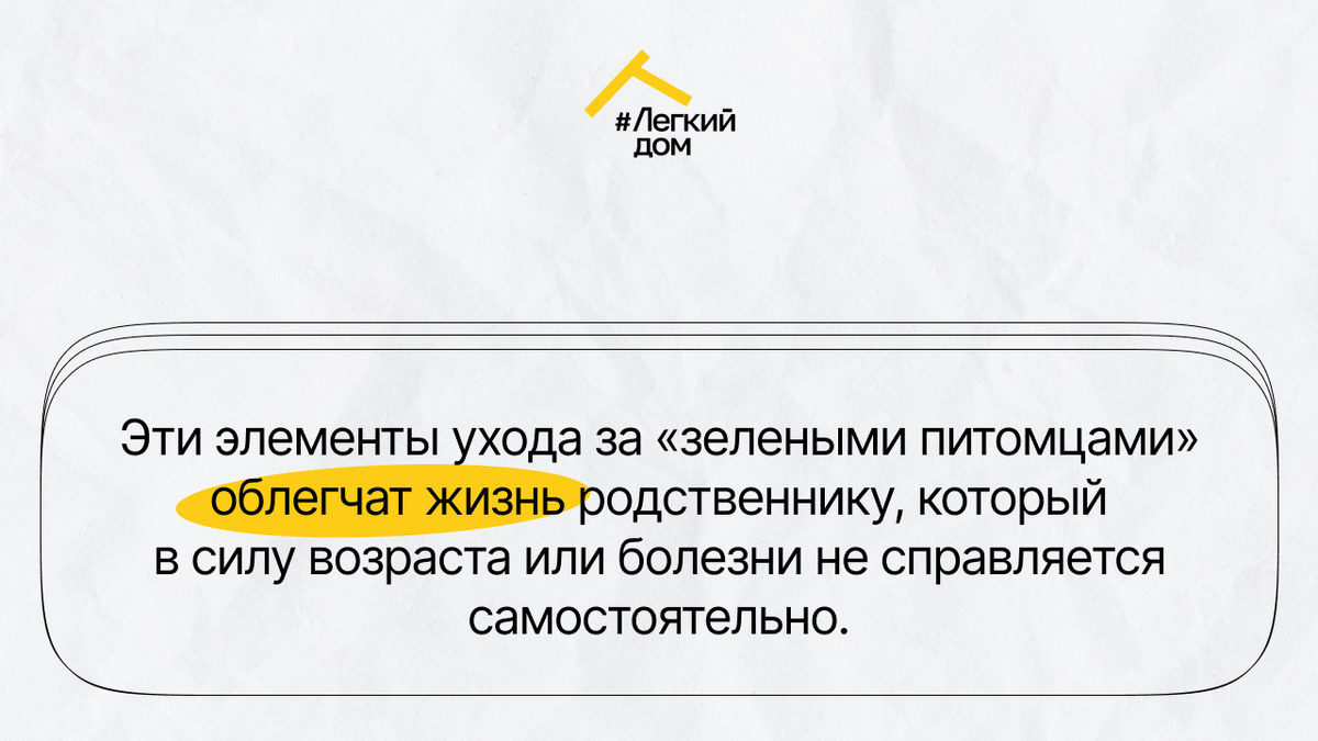 Как облегчить пожилым родственникам уход за домашними растениями: полезные  устройства | DOMEO | РЕМОНТ КВАРТИР | НЕДВИЖИМОСТЬ | Дзен