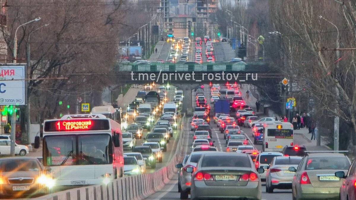 Жителям в Ростове хотят запретить ездить по одному человеку в машине |  Privet-Rostov.ru | Дзен