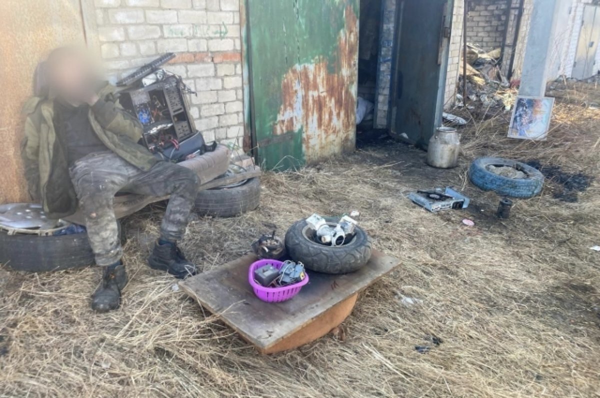    Крупные штрафы грозят двум поджигателям сухой травы в Приморье