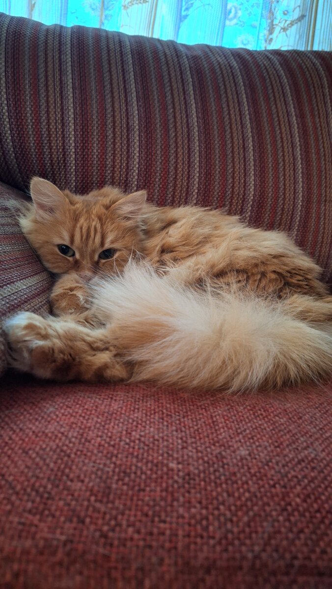 Фото автора. Кожаная, не кипишуй!