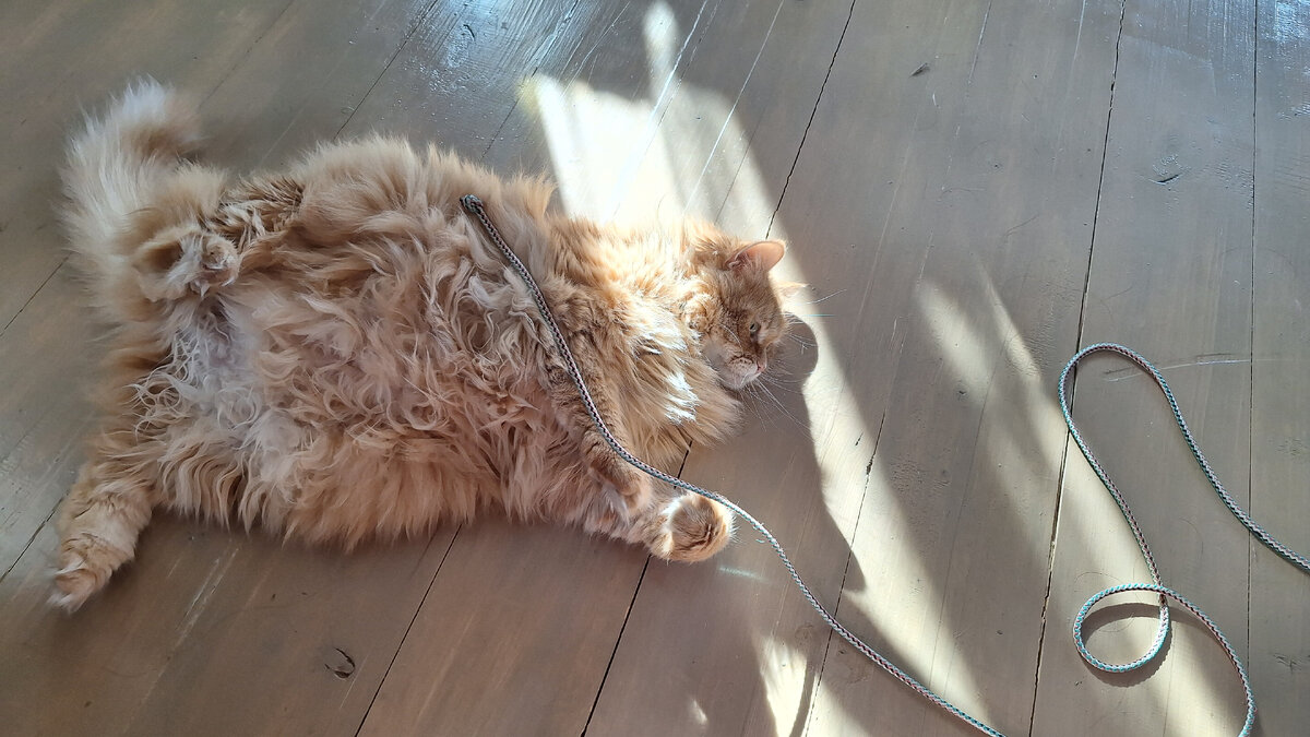 Фото автора.