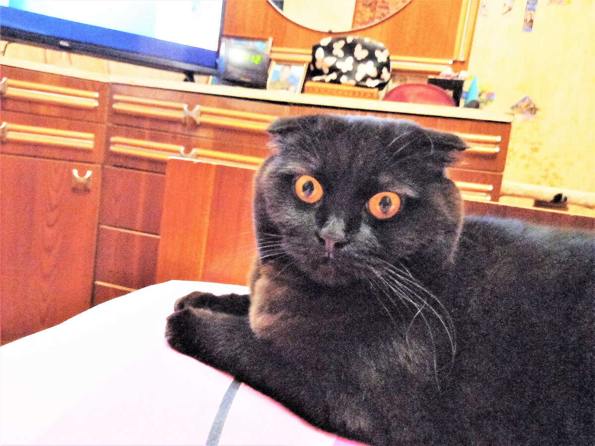 Пряня Думающев) Благодарю за фото Марину АБРОЧНОВУ)