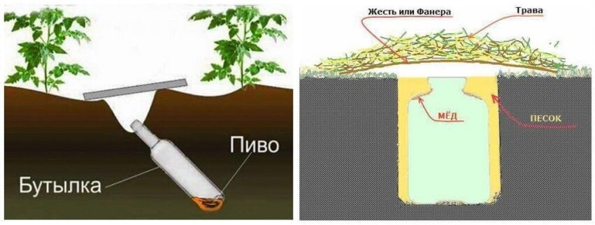 Виды ловушек для медведки (фото с сайта grizun-off.ru)