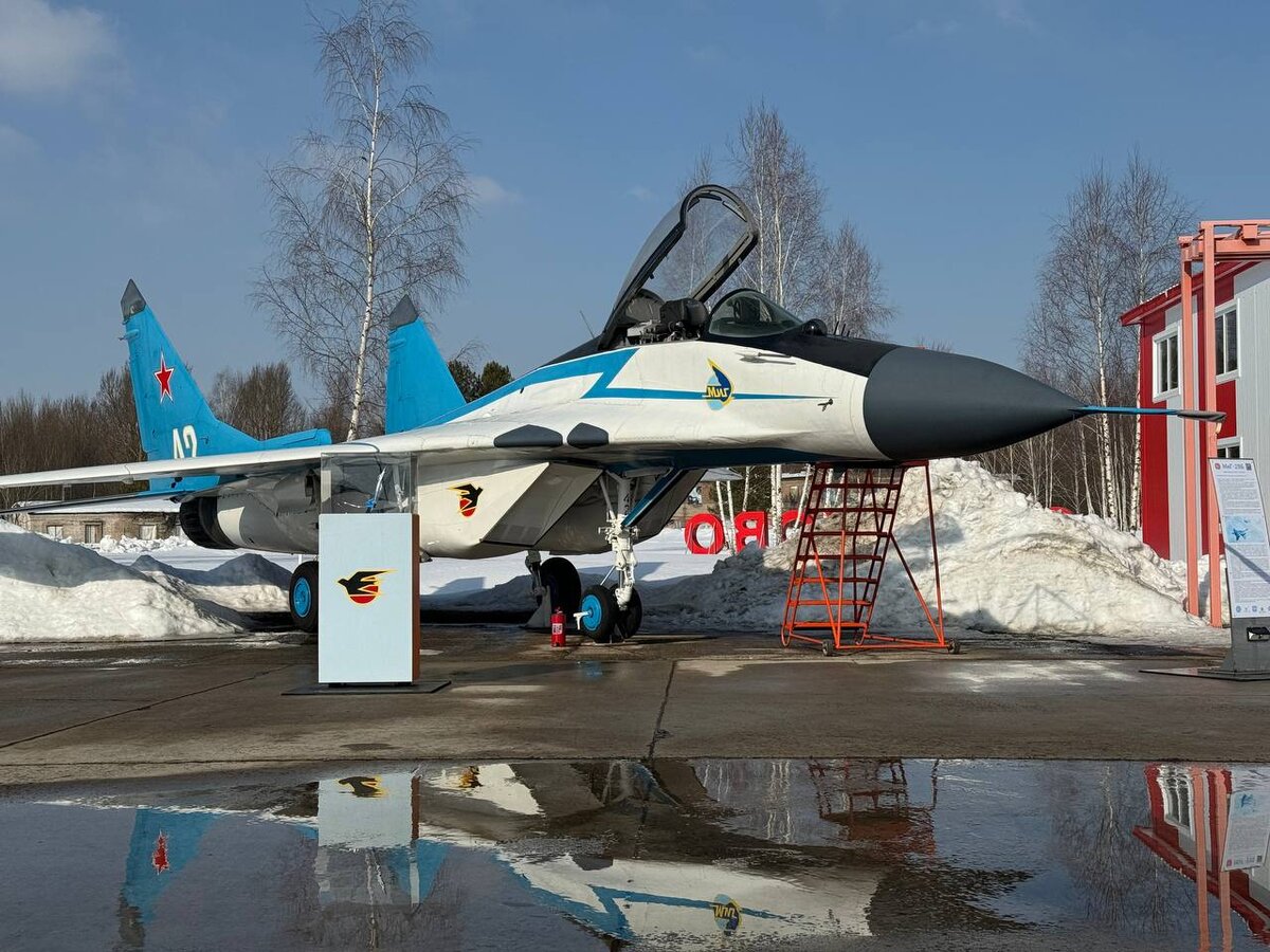 МиГ-29Б. ПИЛОТАЖНАЯ ГРУППА «СТРИЖИ». Бортовой номер 42 (заводской номер 296053005/3914)