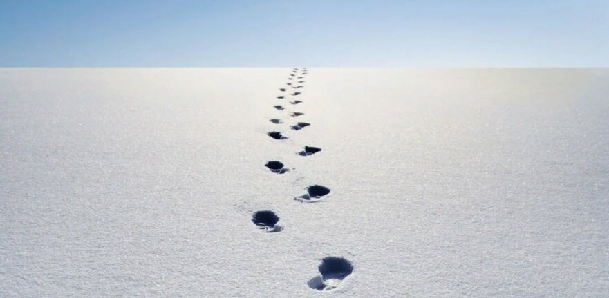 Изображение для обложки статьи