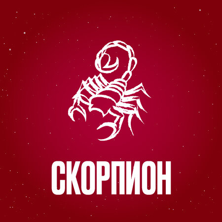 Гороскоп для Скорпиона на весь 2024 год.