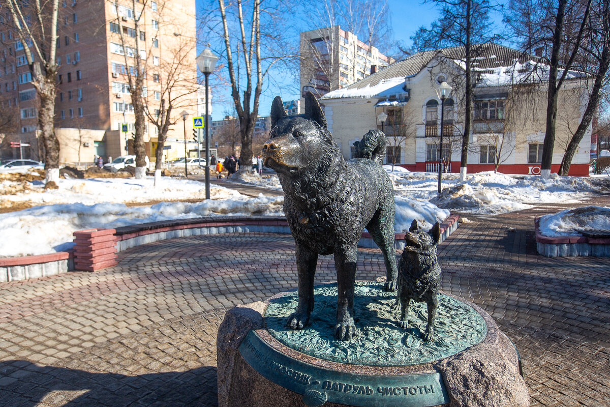 Памятник "Мурчик и Джостик - патруль чистоты" - собакам, убиравшим мусор с городских улиц. Микрорайон Железнодорожный, Балашиха. Московская область. Фото автора статьи 