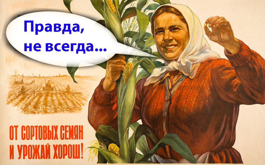 Сейте доброе, разумное, вечное - это ваш урожай в небесных житницах, который нимоль не точит, ни вор не украдёт.