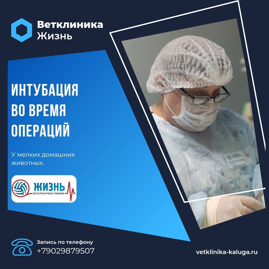 Интубационные трубки для животных.