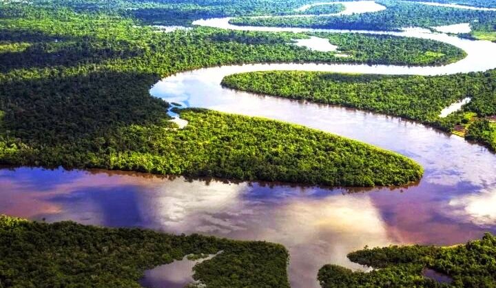 Амазонка. Фото взято из Яндекс картинки 