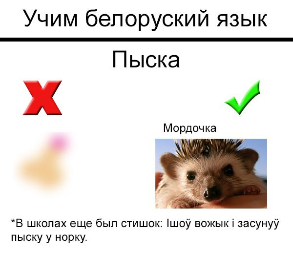 -2-2