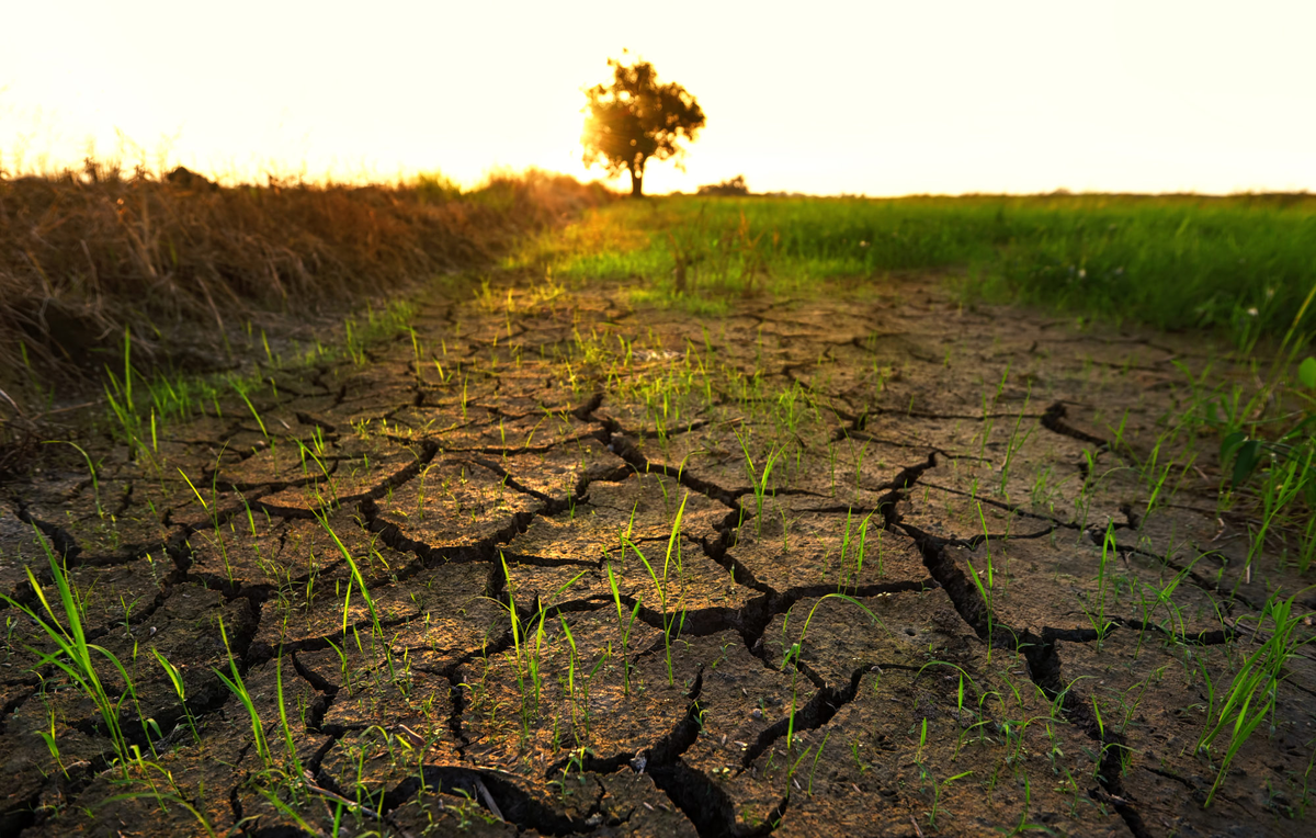 Фотография взята из источника yandex.ru