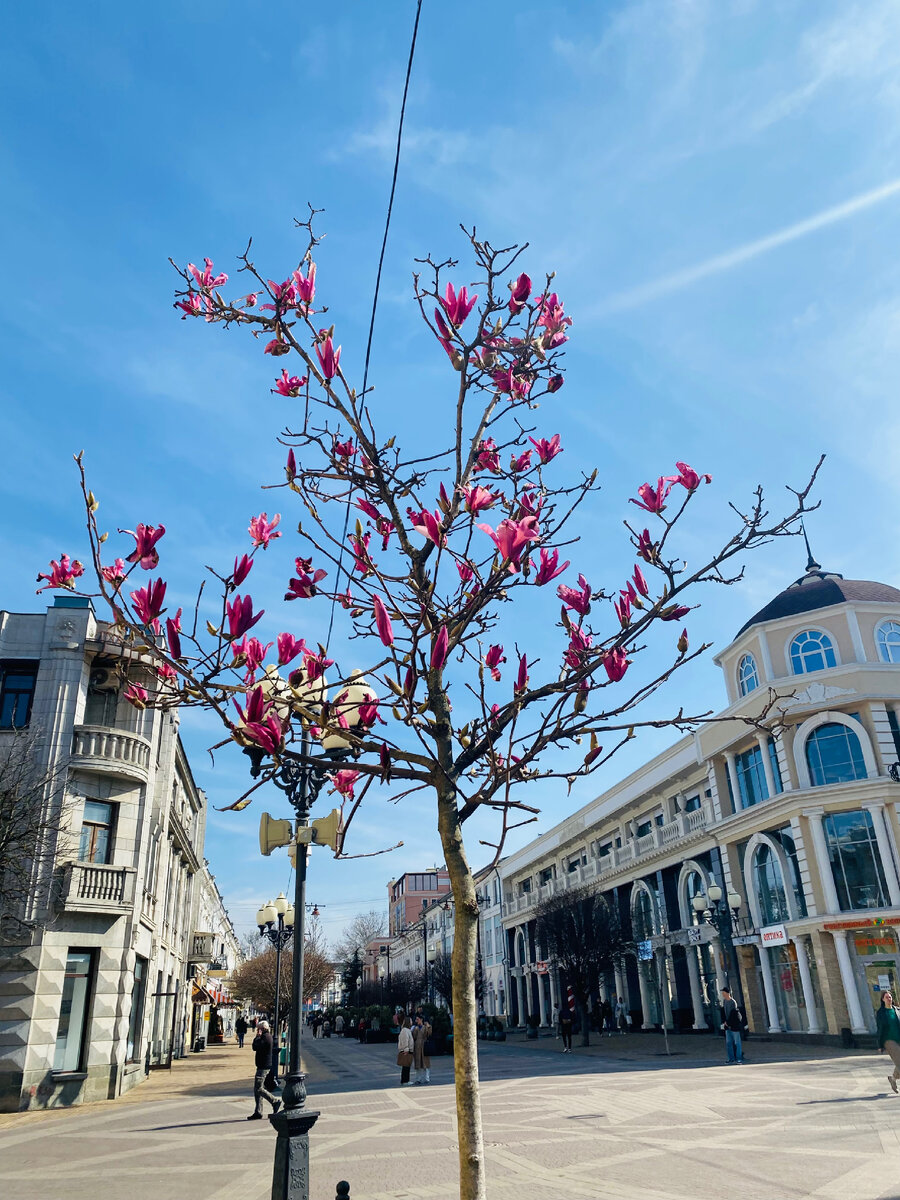 Пешеходная зона на пересечении улиц Екатерининская и Пушкинская.