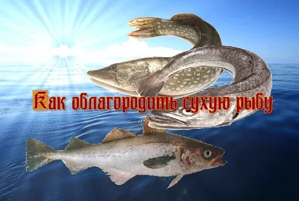 Как преобразить мясо сухих видов рыб - работает на все 100 | Грузинская ...