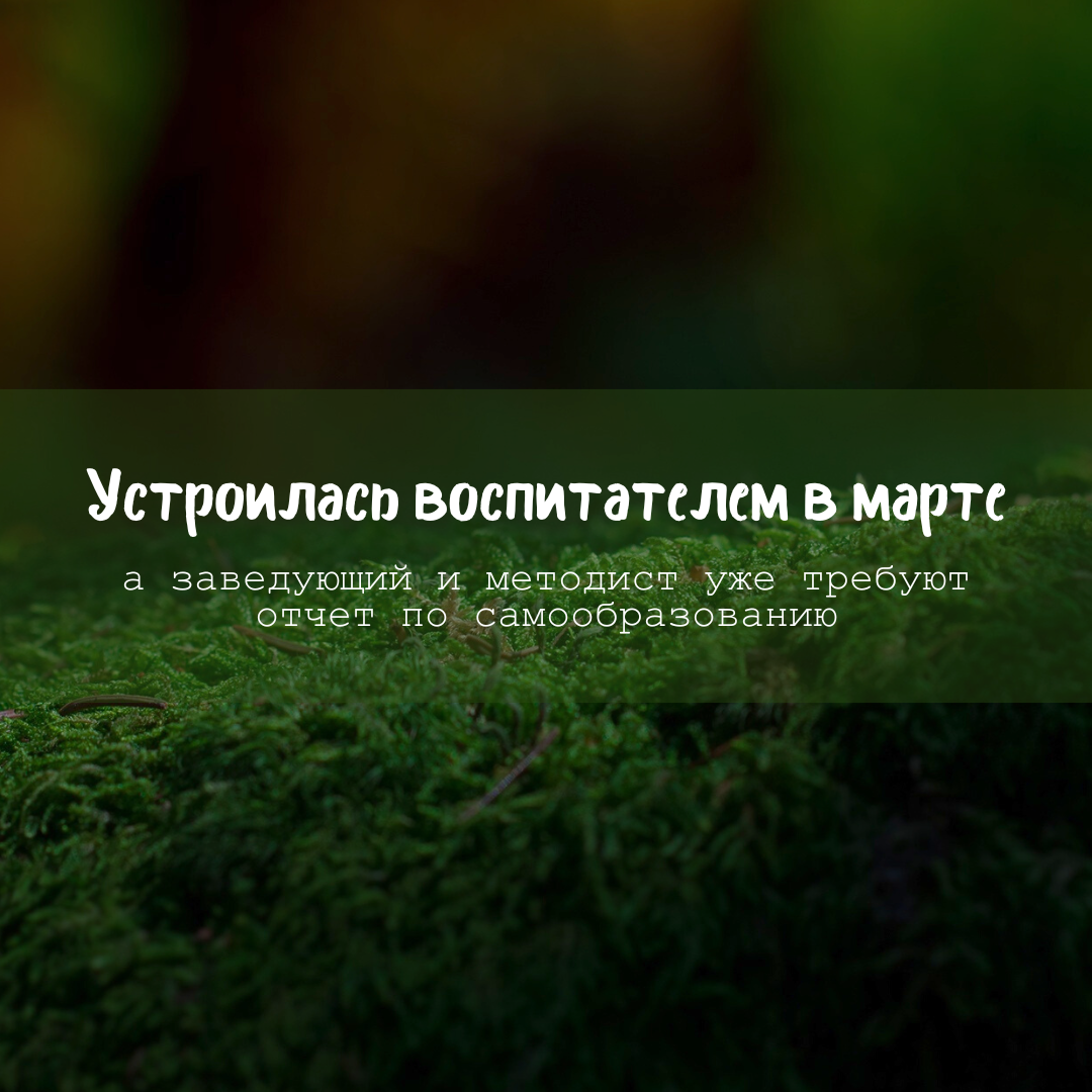 Устроилась воспитателем в марте, а заведующий и методист уже требуют отчёт  по самообразованию | Методист в отставке 🤍 | Дзен