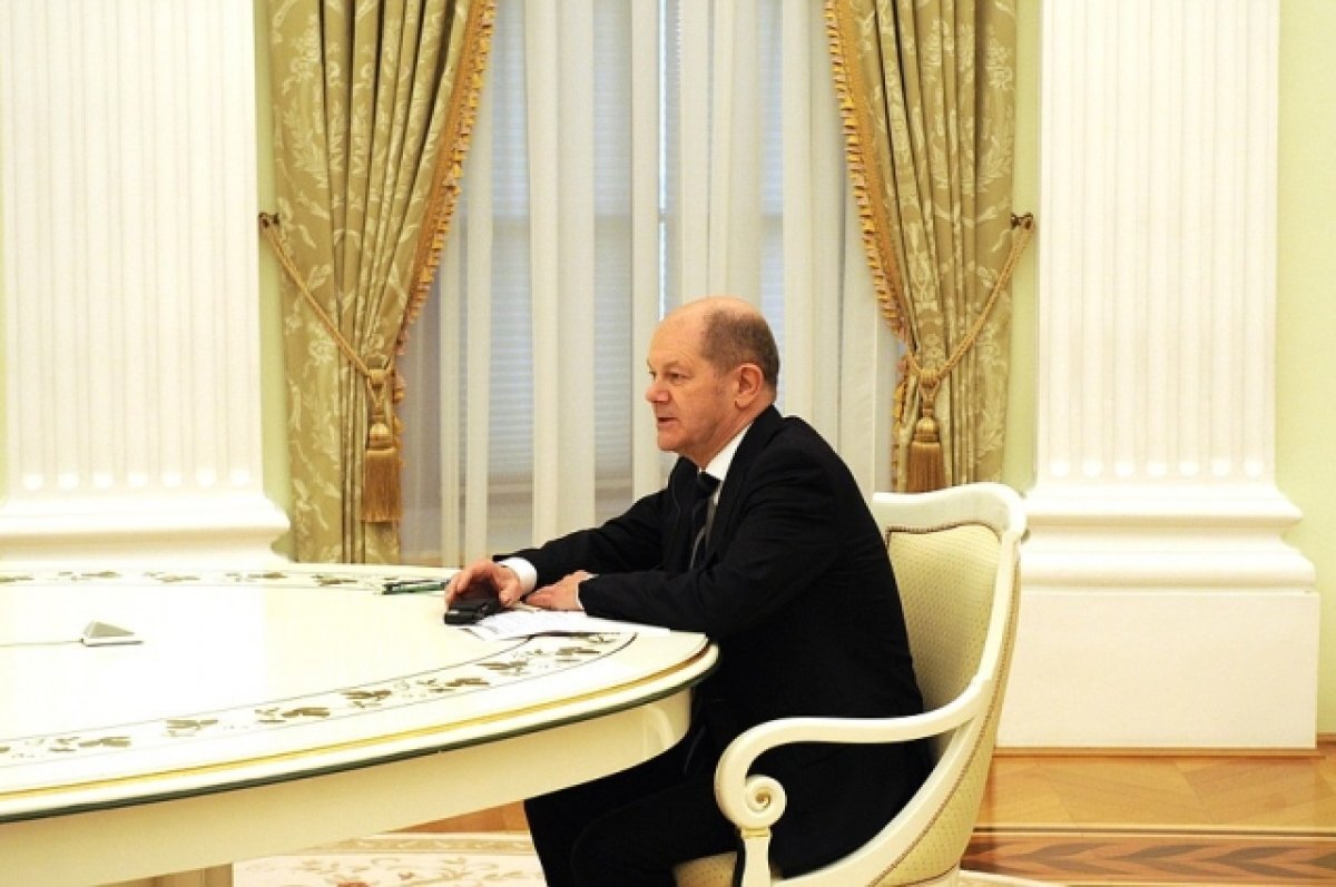    Советник Макрона: когда Путин кашляет, Шольц бежит искать бункер