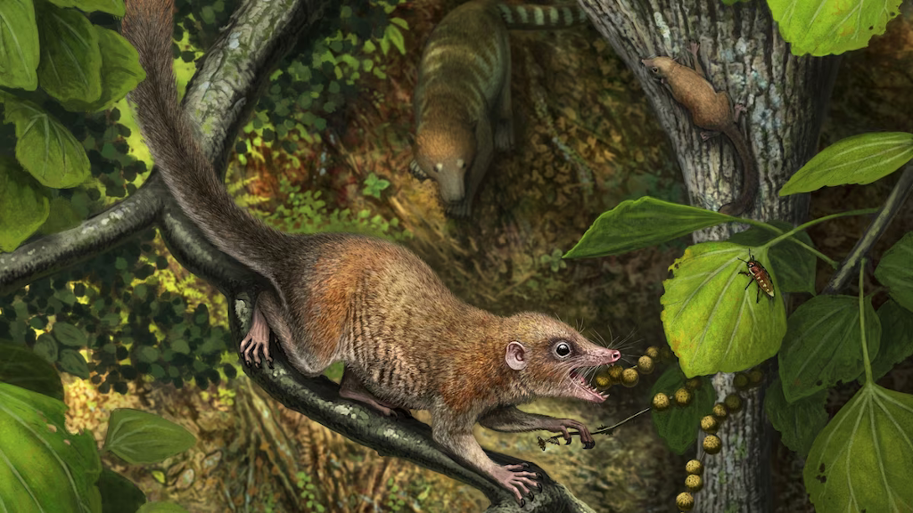 В эоцене приматы водились даже в Заполярье.