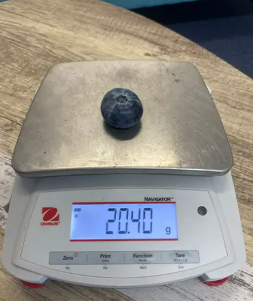     Фото: guinnessworldrecords.com