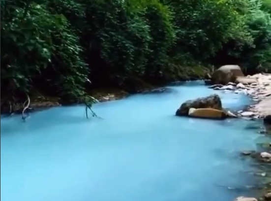    скриншот: соцсети writ5