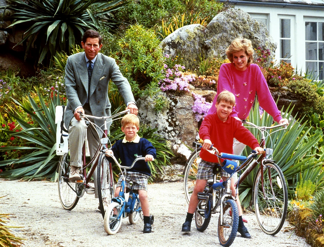 Из интернета.