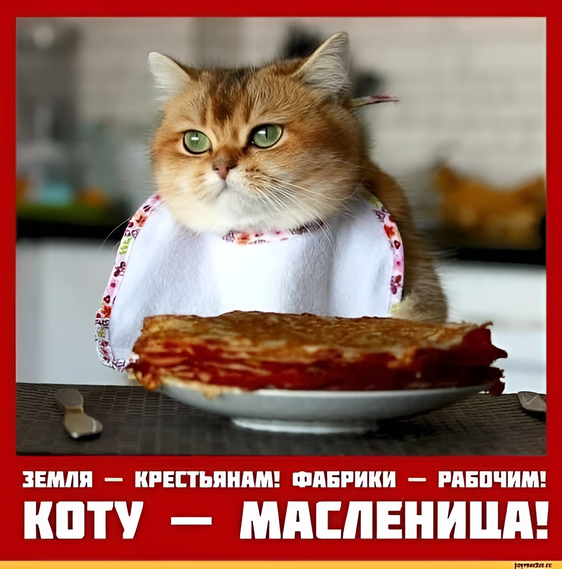 Масленица прикол