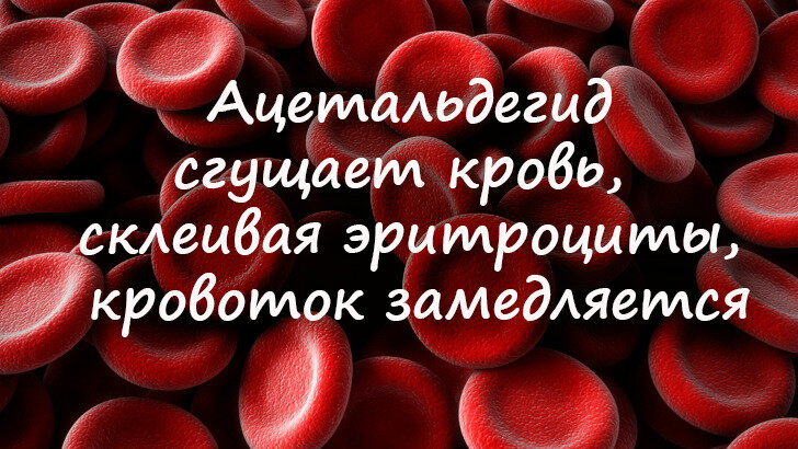 фото источник muzoktcrb.ru