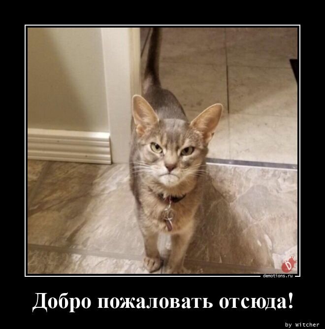 Это про меня.